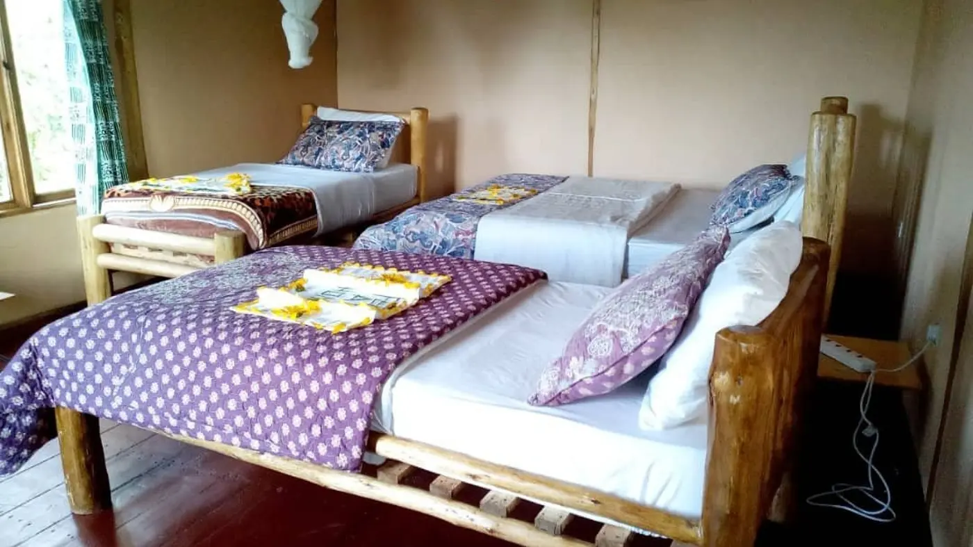 Rushaga Gorilla Havens Lodge, Bwindi 4