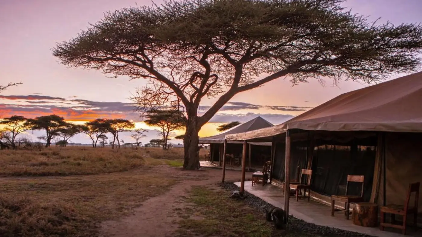 Tented Lodge 2