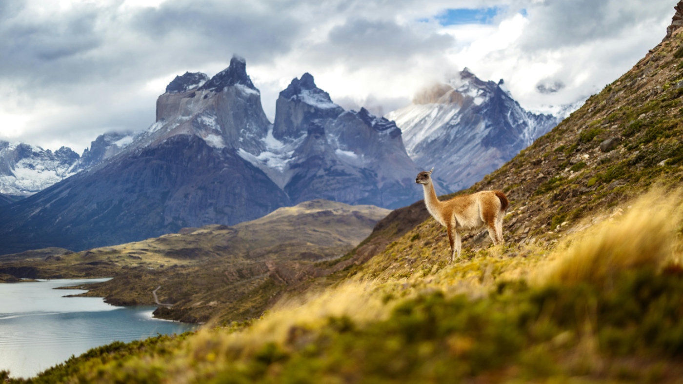 Patagonia Argentina and Chile