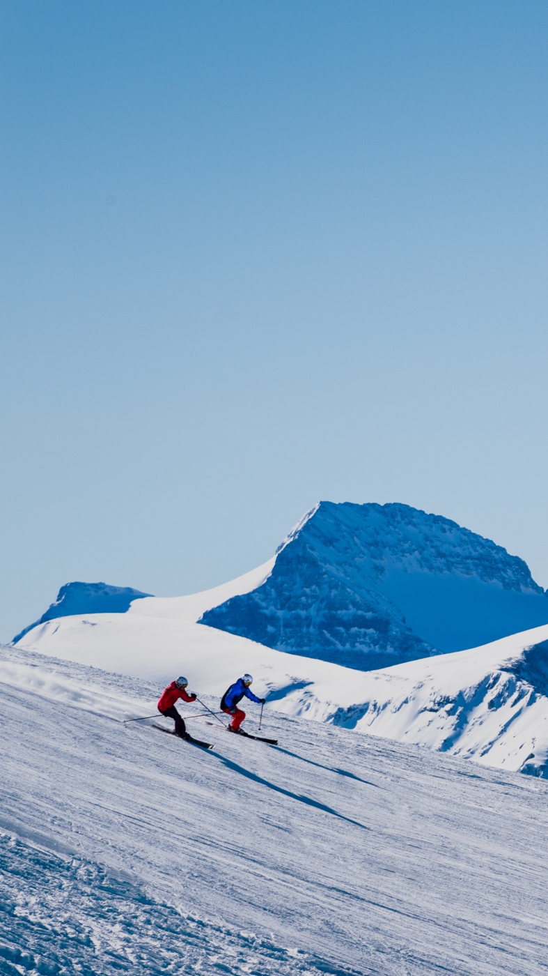 Rocosas Canadienses Freeride, image size:787x1400