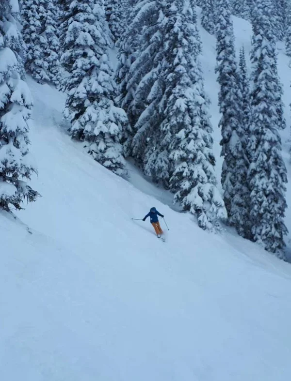 Canadian Rockies Freeride - View 2 Canadian Rockies Freeride - View 2