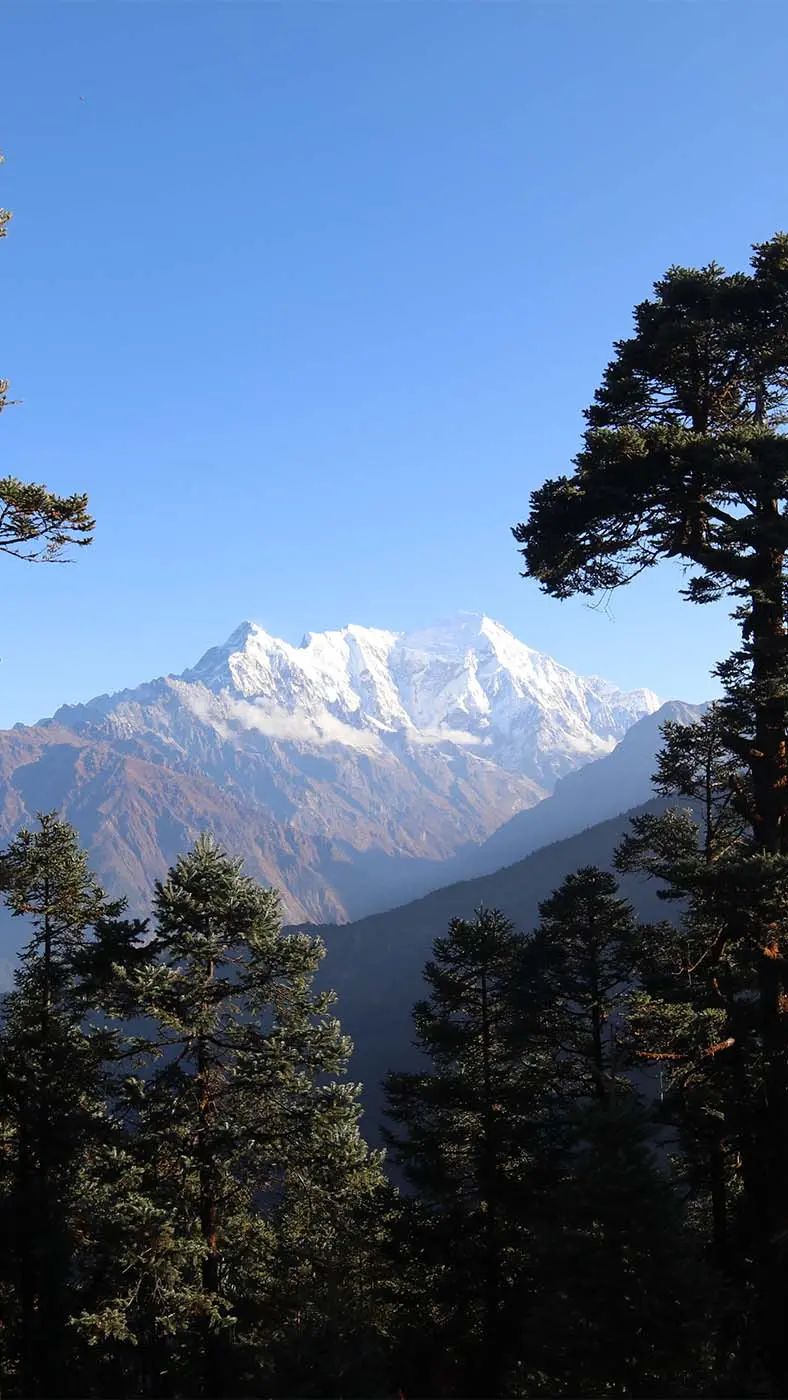 Trekking al Valle de Langtang - Vista 4