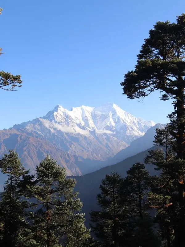 Trekking al Valle de Langtang - Vista 4 Trekking al Valle de Langtang - Vista 4